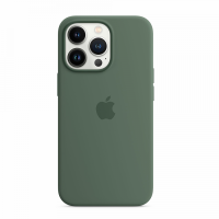 Накладка Silicone Case Magsafe для iPhone 13 Pro Max (Eucalyptus)